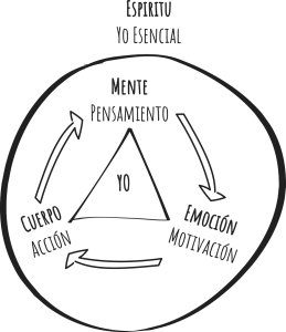 Quien crees ser y qué eres en realidad. Incluyendo el YO esencial. Transpersonal