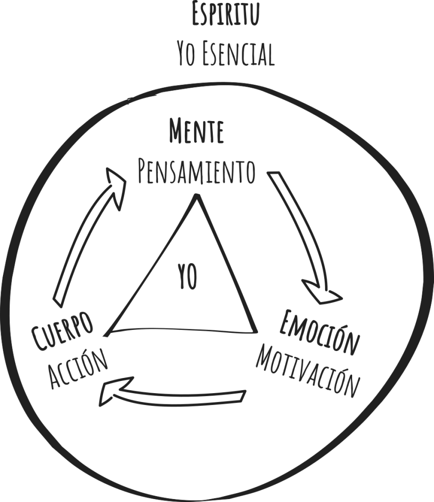 Quien crees ser y qué eres en realidad. Incluyendo el YO esencial. Transpersonal