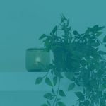Cómo montarte un retiro de meditación Mindfulness casero