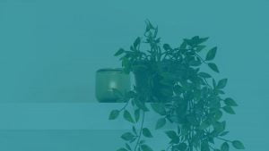 Cómo montarte un retiro de meditación Mindfulness casero