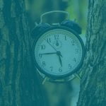 Ejercicios Mindfulness