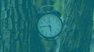 Ejercicios Mindfulness