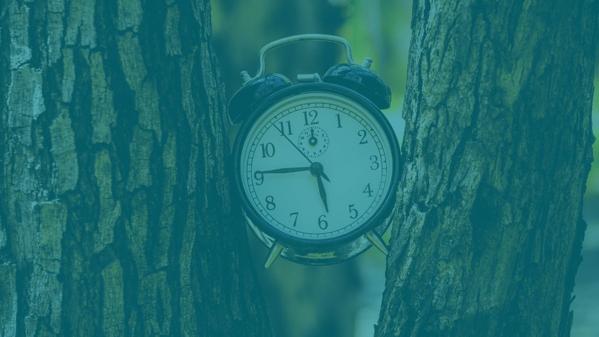 Ejercicios Mindfulness